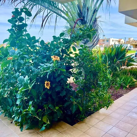 Stunning 1-bed In Larnaca Near The Sea Apartment Perivolia